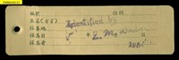 Formosan Field Mouse Collection Image, Figure 11, Total 18 Figures